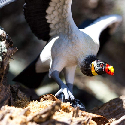 Safari Ltd King Vulture