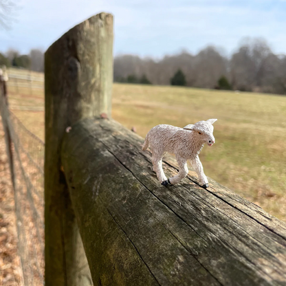 Safari Ltd Lamb