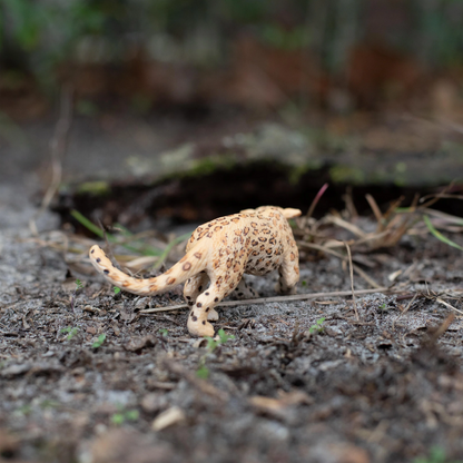 Safari Ltd Leopard