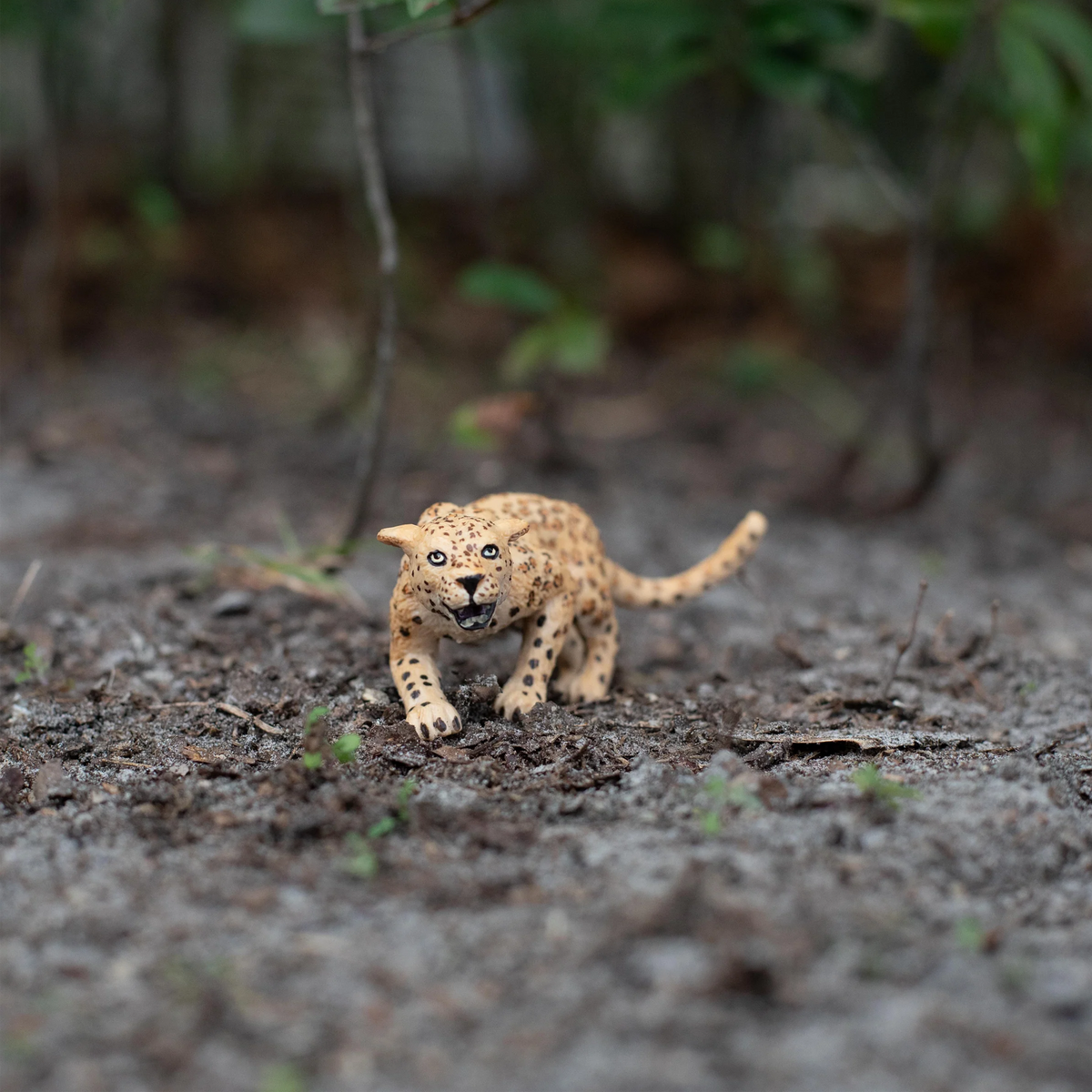 Safari Ltd Leopard