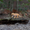 Safari Ltd Leopard Cub