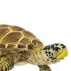 Safari Ltd Loggerhead Turtle