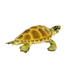 Safari Ltd Loggerhead Turtle