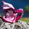 Safari Ltd Baby Love Dragon
