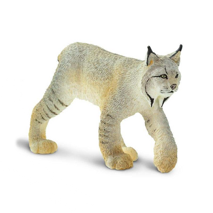 Safari Ltd Lynx