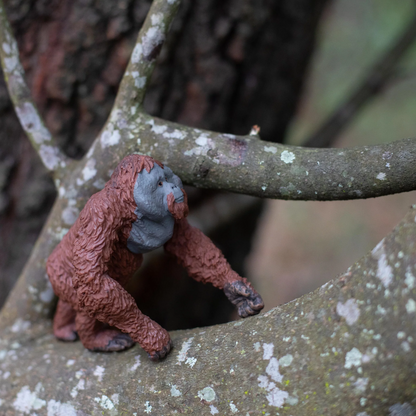 Safari Ltd Male Orangutan