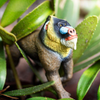 Safari Ltd Mandrill