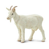 Safari Ltd Nanny Goat