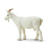 Safari Ltd Nanny Goat