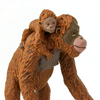 Safari Ltd Orangutan With Baby