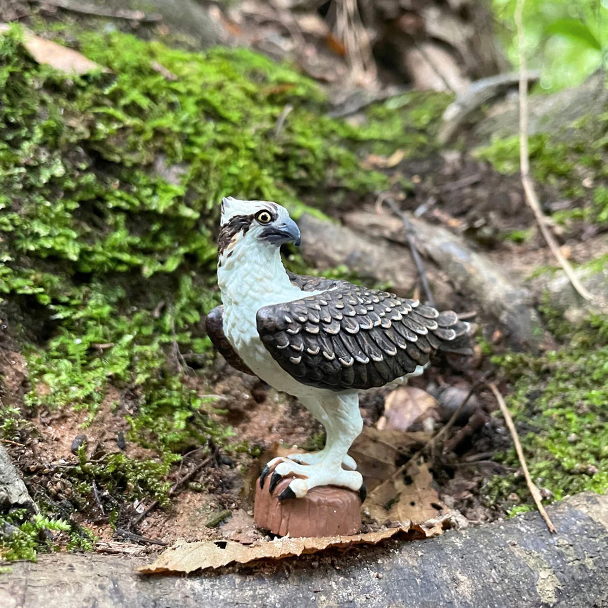 Safari Ltd Osprey