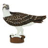 Safari Ltd Osprey