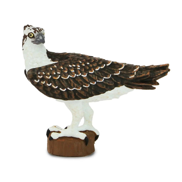 Safari Ltd Osprey