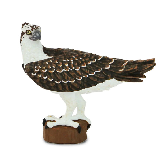 Safari Ltd Osprey