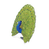 Safari Ltd Peacock