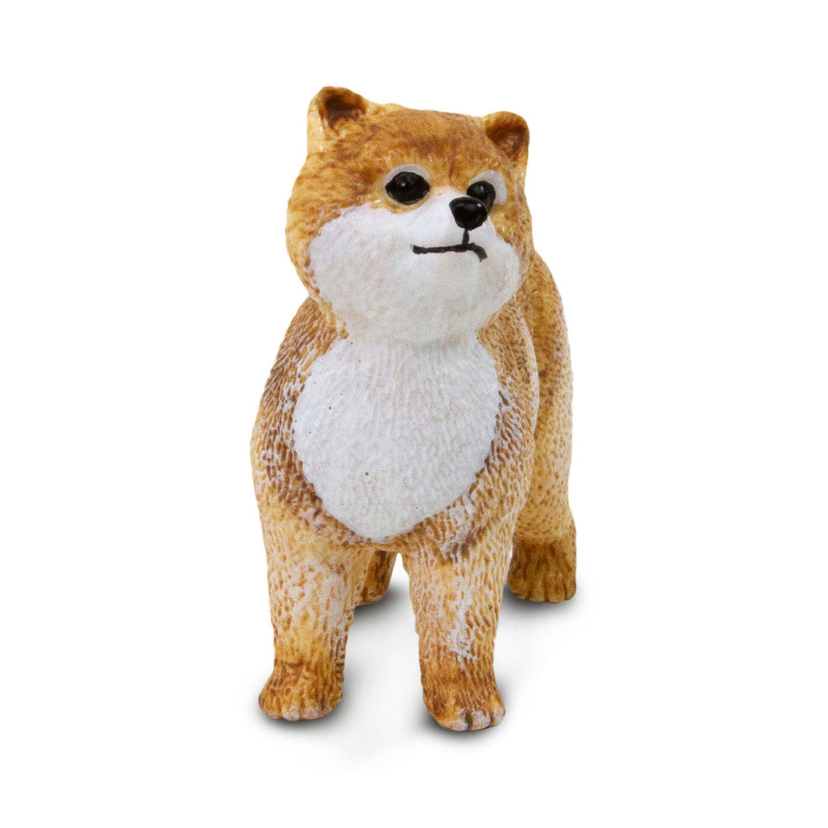 Safari Ltd Pomeranian