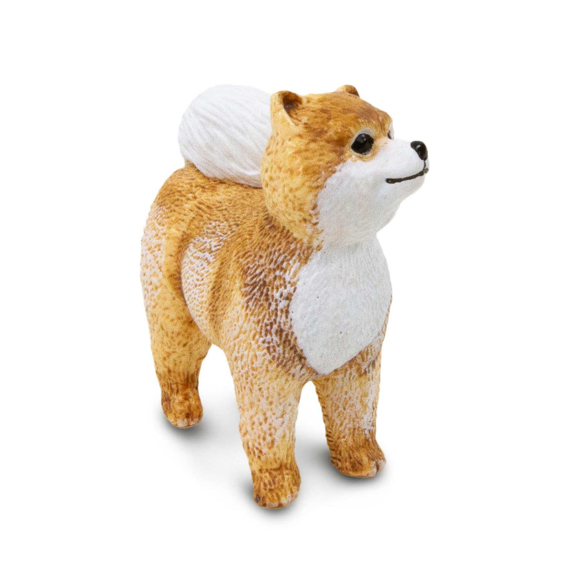 Safari Ltd Pomeranian