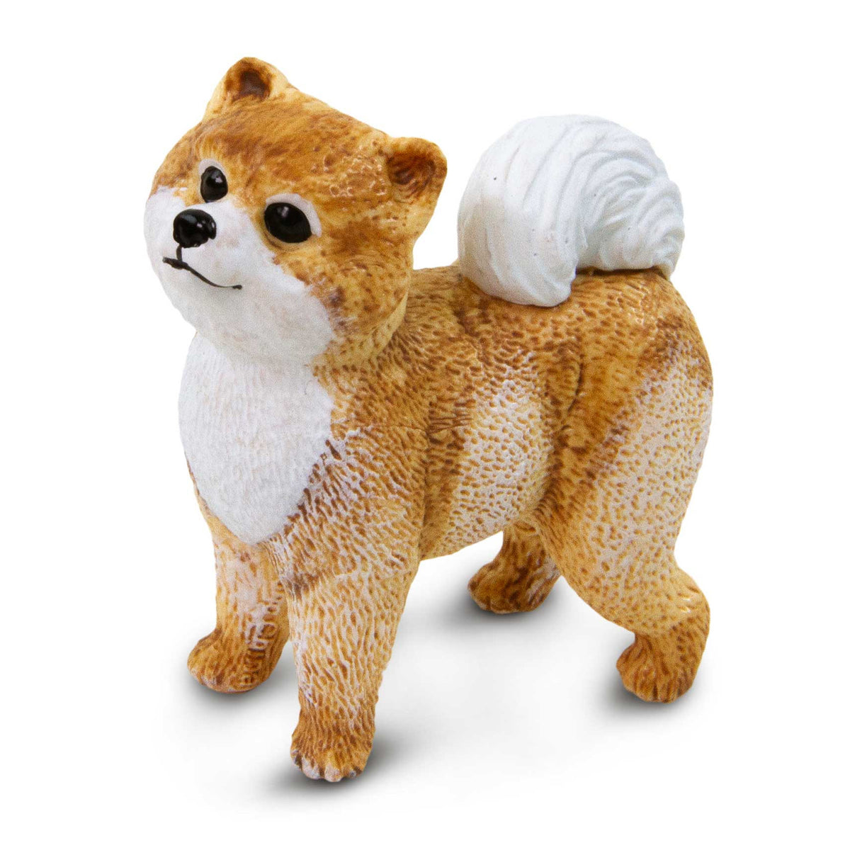 Safari Ltd Pomeranian
