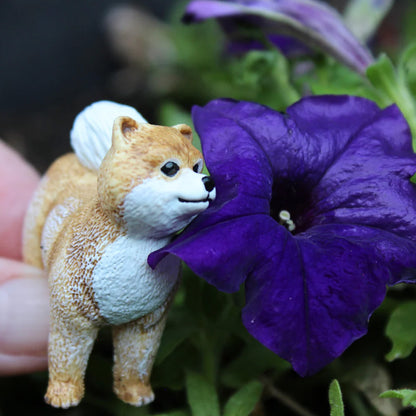 Safari Ltd Pomeranian