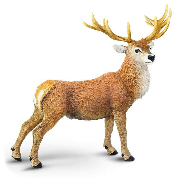 Safari Ltd Red Deer Stag