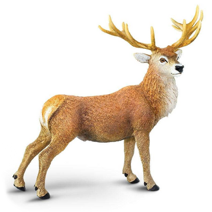 Safari Ltd Red Deer Stag