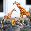 Safari Ltd Reticulated Giraffe Baby