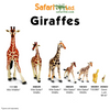 Safari Ltd Reticulated Giraffe