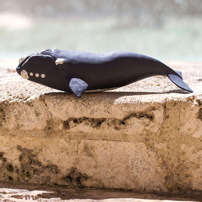 Safari Ltd Right Whale