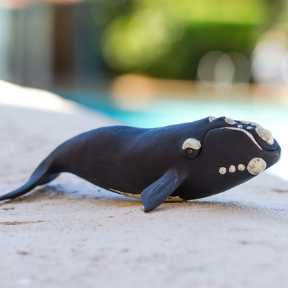 Safari Ltd Right Whale