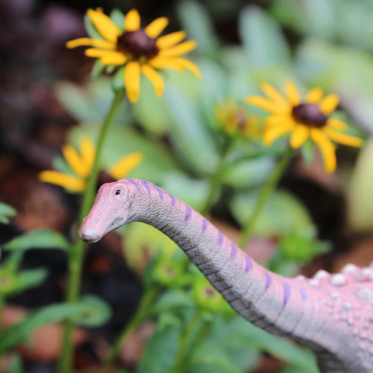 Safari Ltd Saltasaurus