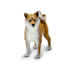 Safari Ltd Shiba Inu