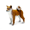 Safari Ltd Shiba Inu