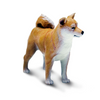 Safari Ltd Shiba Inu