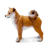 Safari Ltd Shiba Inu