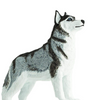 Safari Ltd Siberian Husky