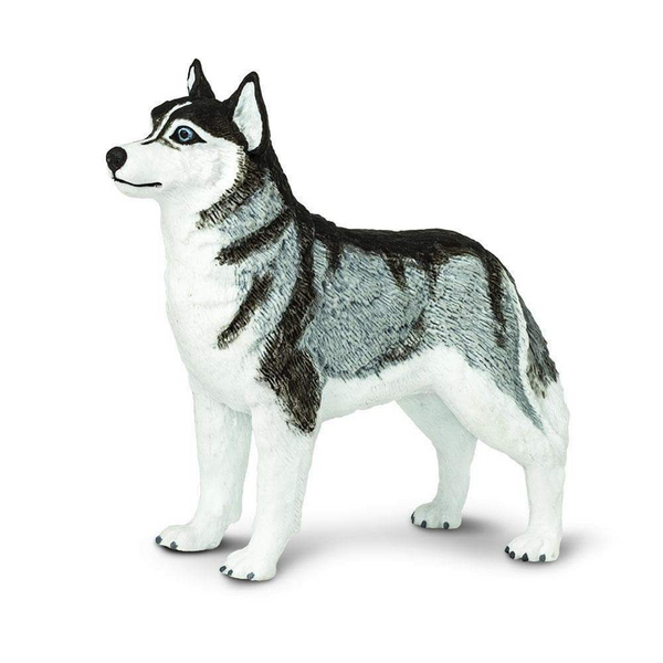 Safari Ltd Siberian Husky