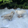 Safari Ltd Snowy Owl