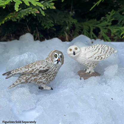 Safari Ltd Snowy Owl