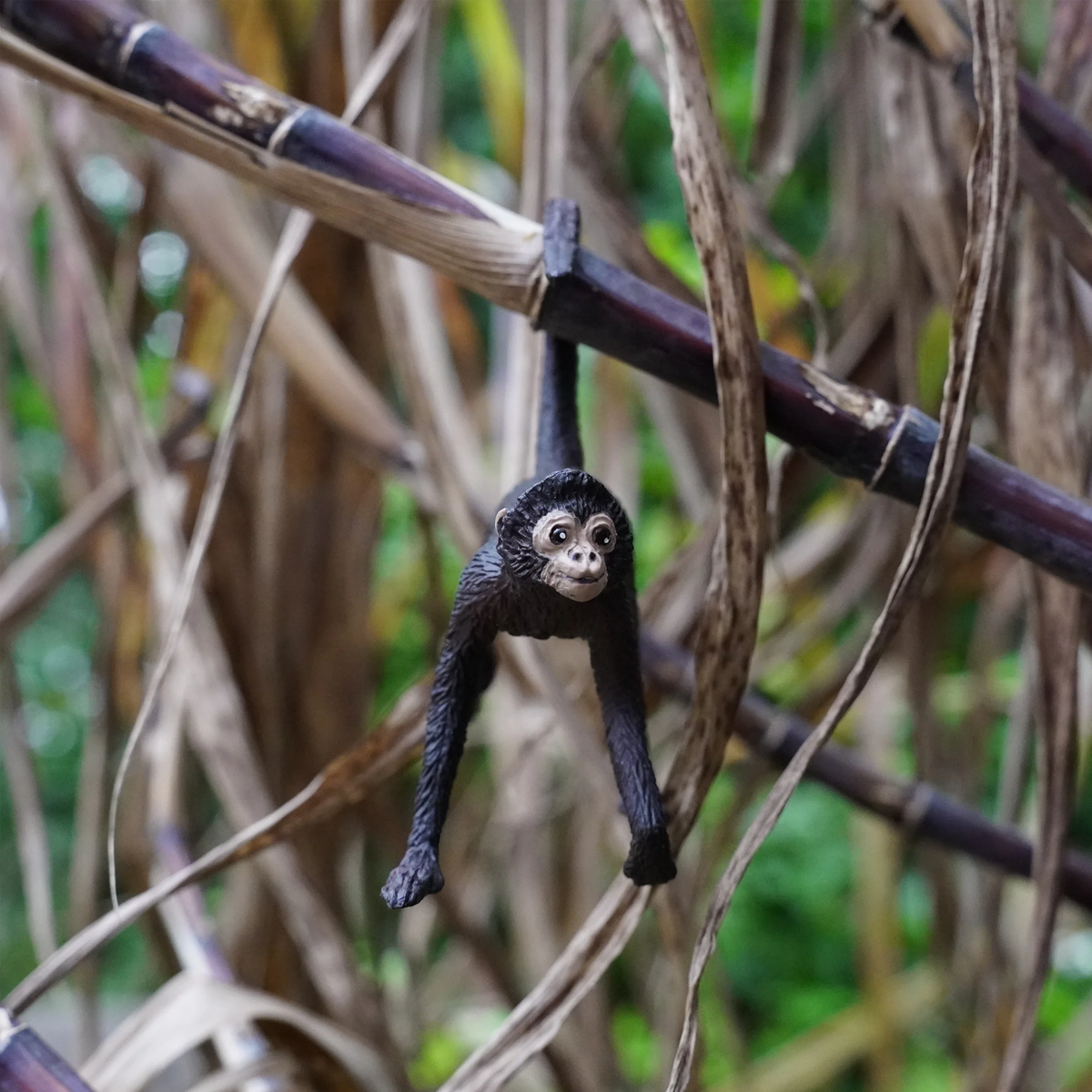 Safari Ltd Spider Monkey