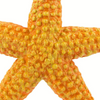 Safari Ltd Starfish