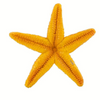 Safari Ltd Starfish