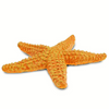 Safari Ltd Starfish