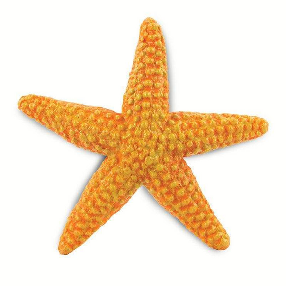 Safari Ltd Starfish