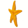 Safari Ltd Starfish