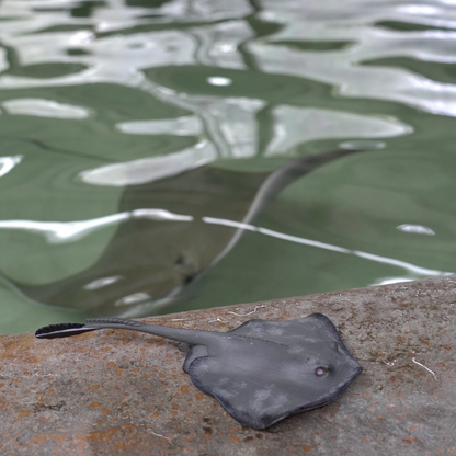 Safari Ltd Sting Ray XL
