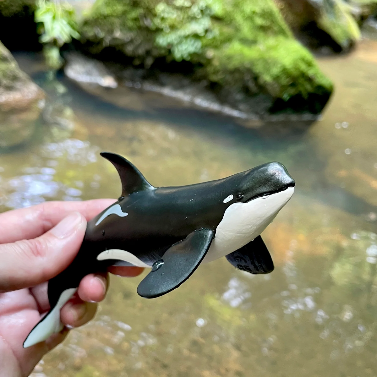 Safari Ltd Type D Orca