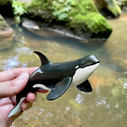 Safari Ltd Type D Orca