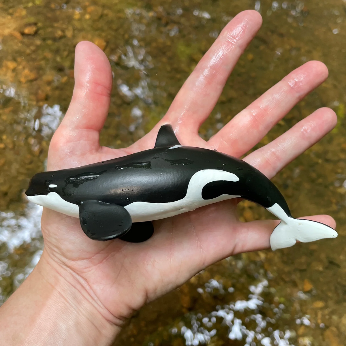Safari Ltd Type D Orca