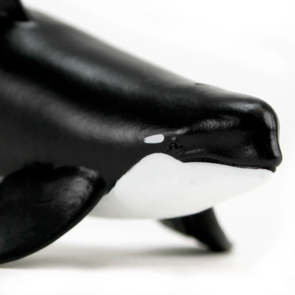 Safari Ltd Type D Orca