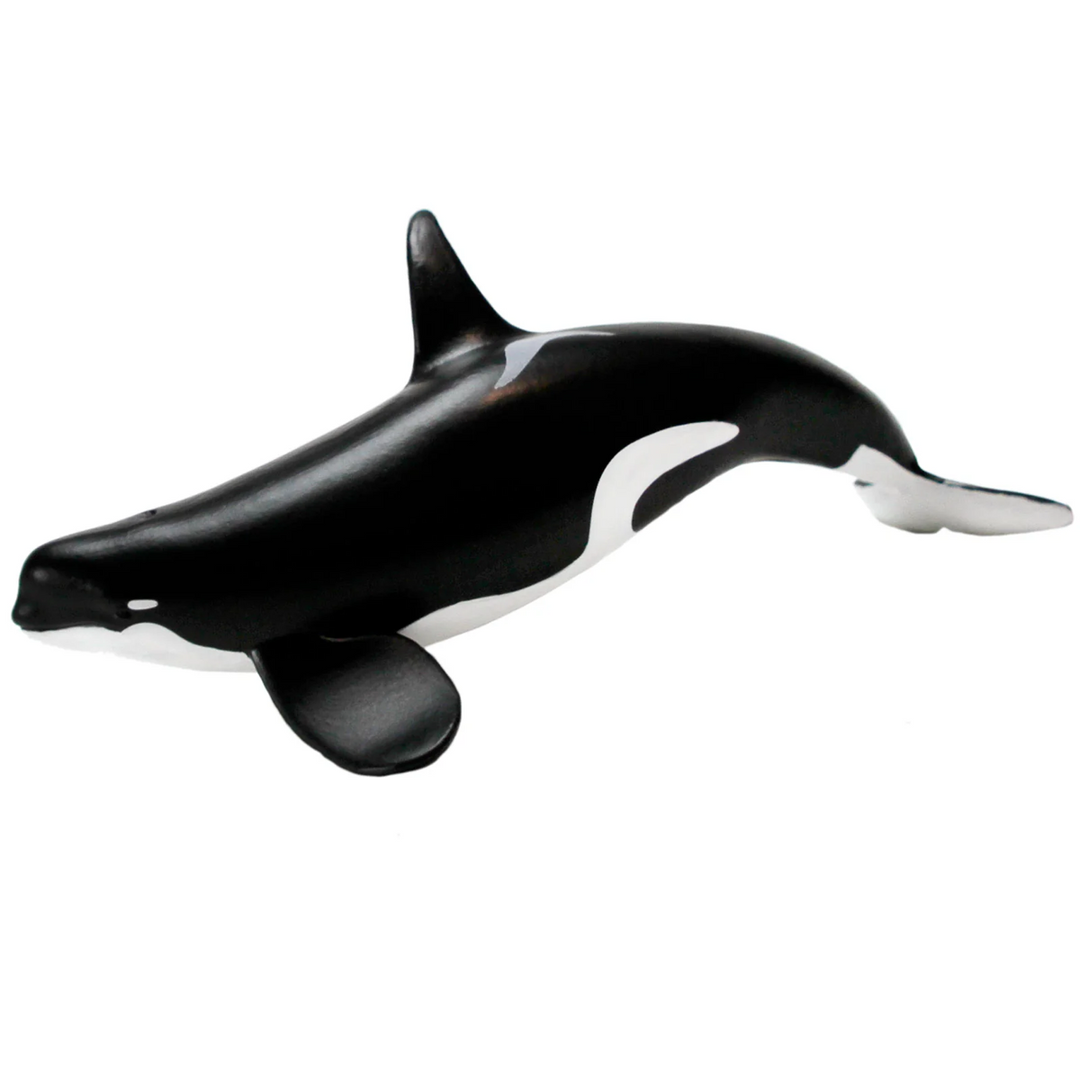 Safari Ltd Type D Orca